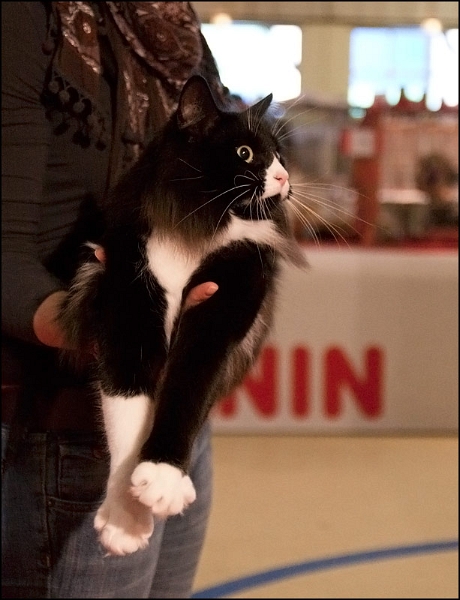 Inconnu 1.jpg - Inconnu